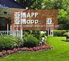 亚博APP - 亚博app- 亚博体育