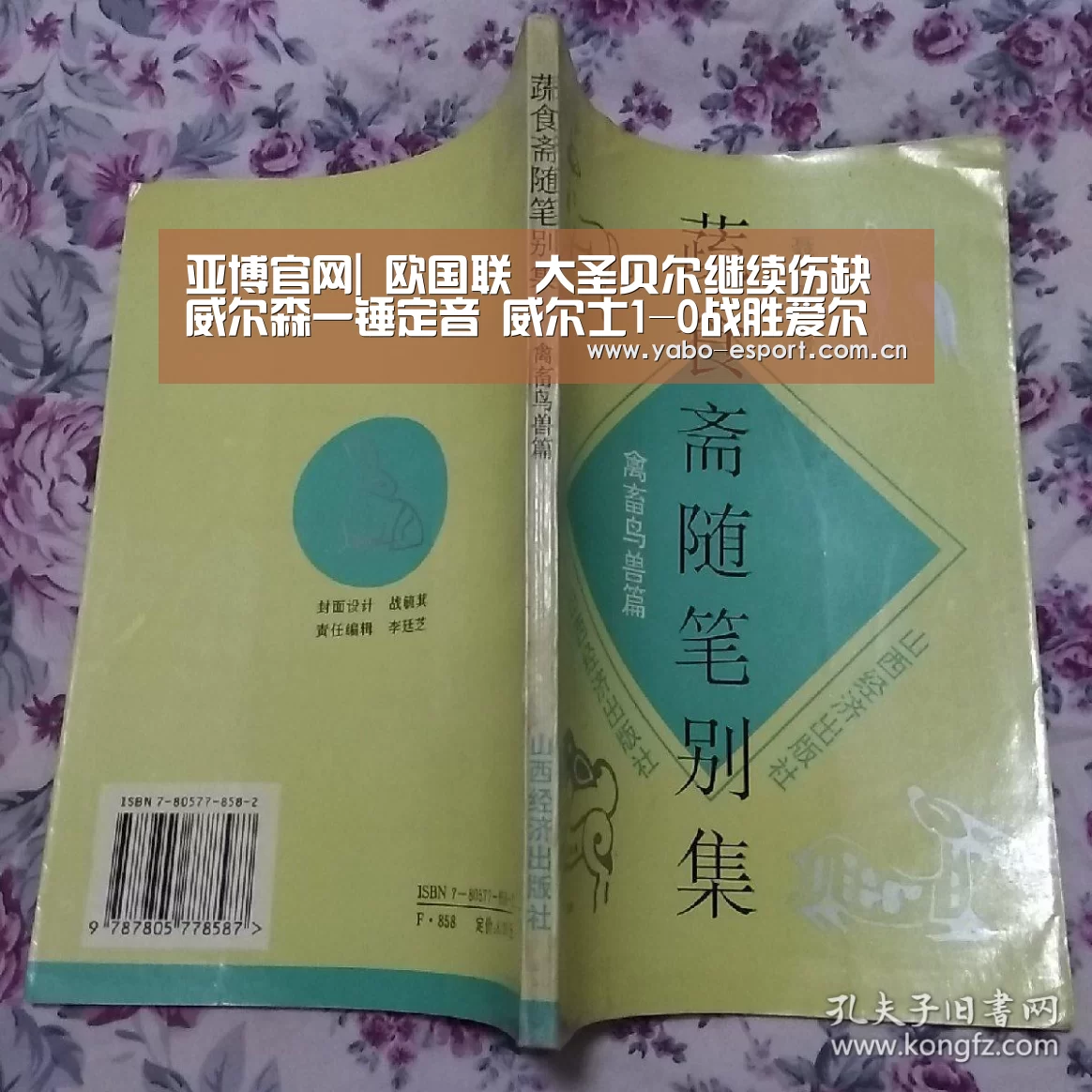 亚博官网|
欧国联 大圣贝尔继续伤缺 威尔森一锤定音 威尔士1-0战胜爱尔兰(图3) 亚博体育