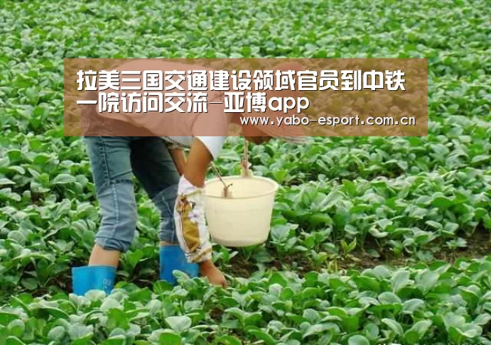 亚博官网
