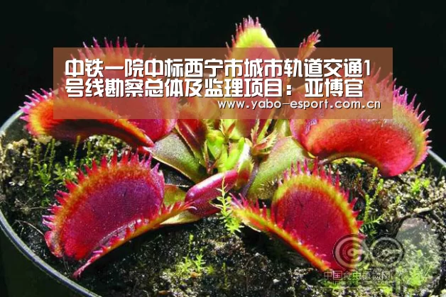 中铁一院中标西宁市城市轨道交通1号线勘察总体及监理项目:亚博官网(图2) 亚博官网
