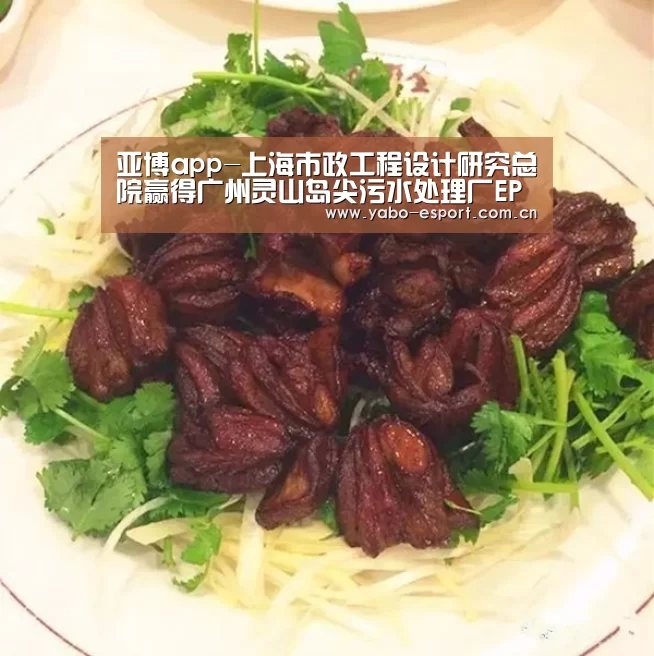 亚博官网